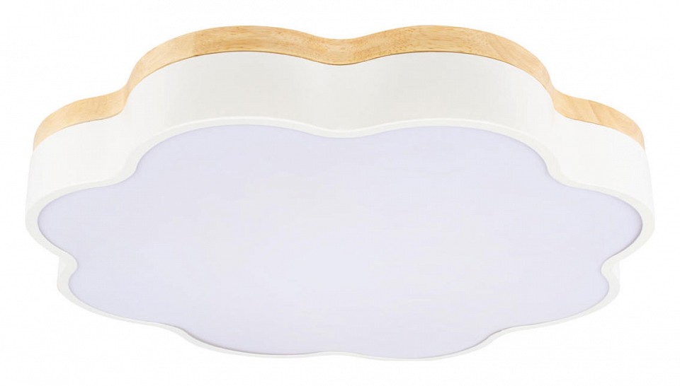 Накладной светильник Loft it Axel 10225/36 White - 2