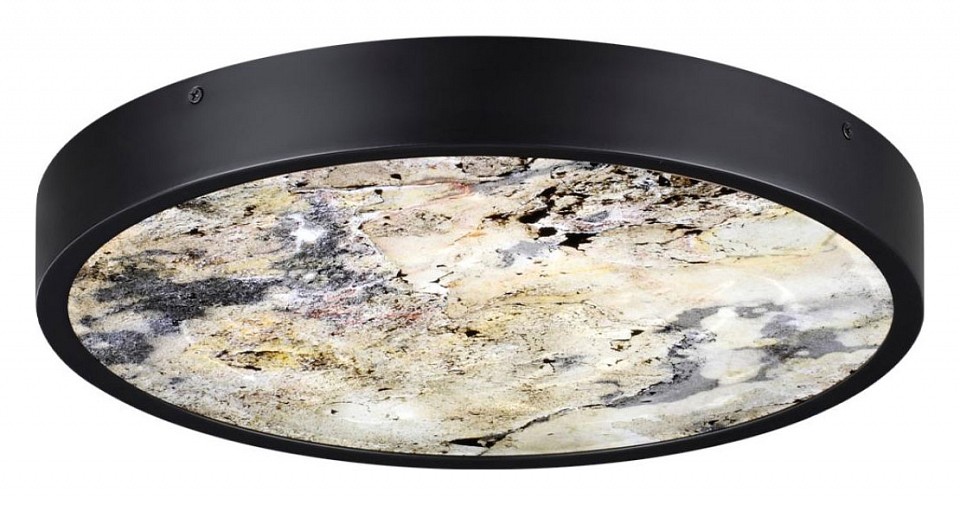 Накладной светильник Odeon Light Bergi 5064/24L - 3