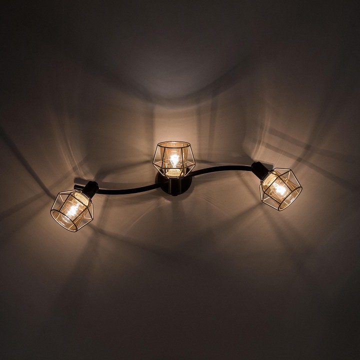 Спот Citilux Таверна CL542531 - 3