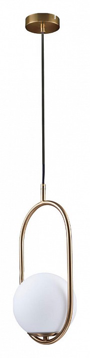 Подвесной светильник Loft IT Glob LOFT2595-A - 1