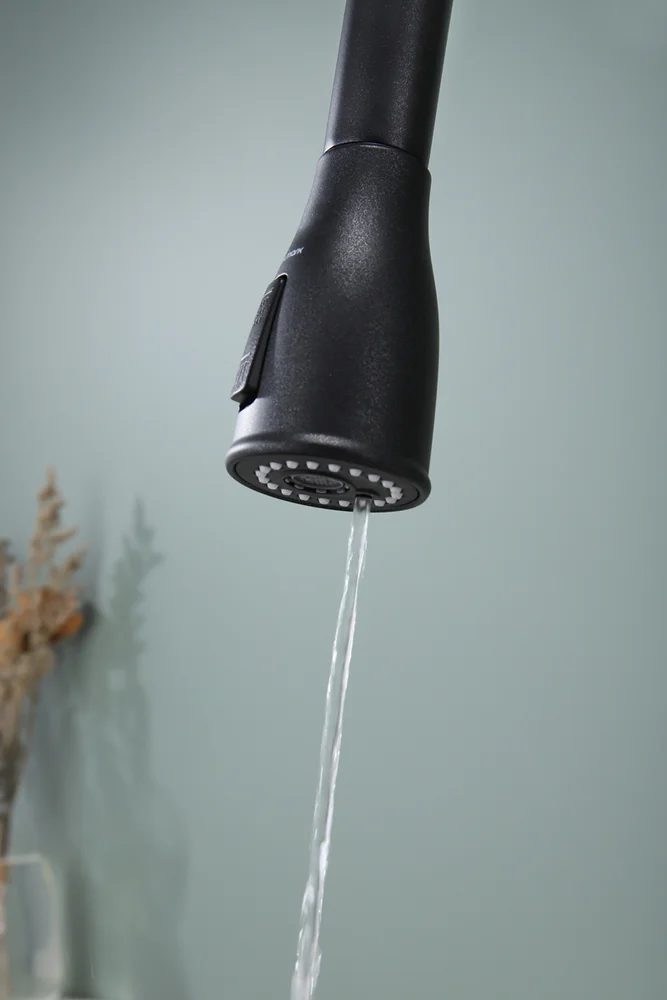 Смеситель для кухни Paulmark Lange черный матовый La214212-418 - 15