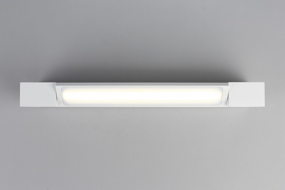 Накладной светильник Aployt Liset APL.013.01.10 - 4