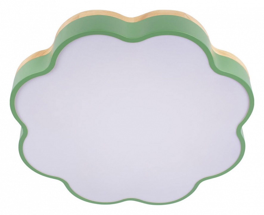 Накладной светильник Loft it Axel 10225/36 Green - 3