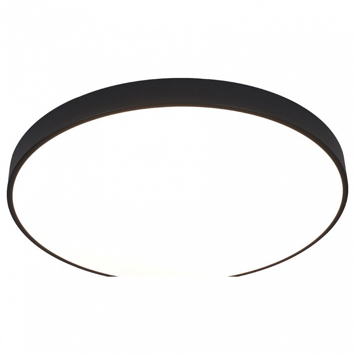 Потолочный светодиодный светильник Arte Lamp Arena A2673PL-1BK - 0