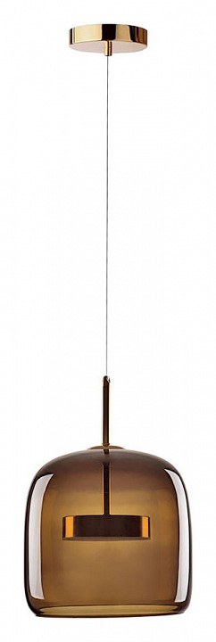 Подвесной светодиодный светильник Loft IT Dauphin 10040A - 1