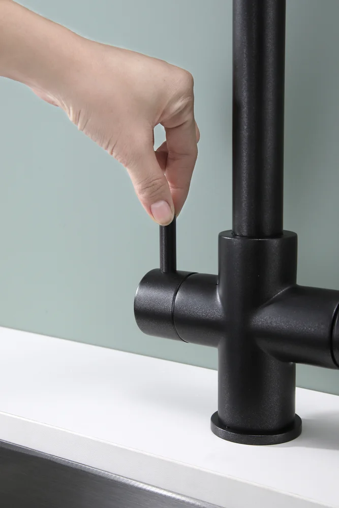 Смеситель для кухни Paulmark Lange черный матовый La214212-418 - 5