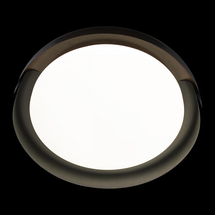 Накладной светильник Loft it Coin 10198 Black - 5