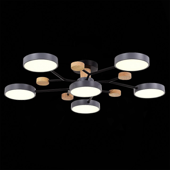 Потолочная люстра EVOLUCE Faema SLE6006-702-06 - 4