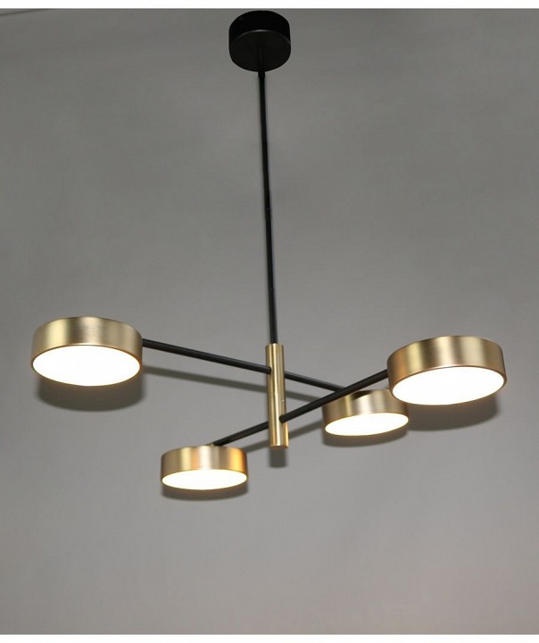 Подвесная люстра Zortes Lunar ZRS.01243.04 - 1