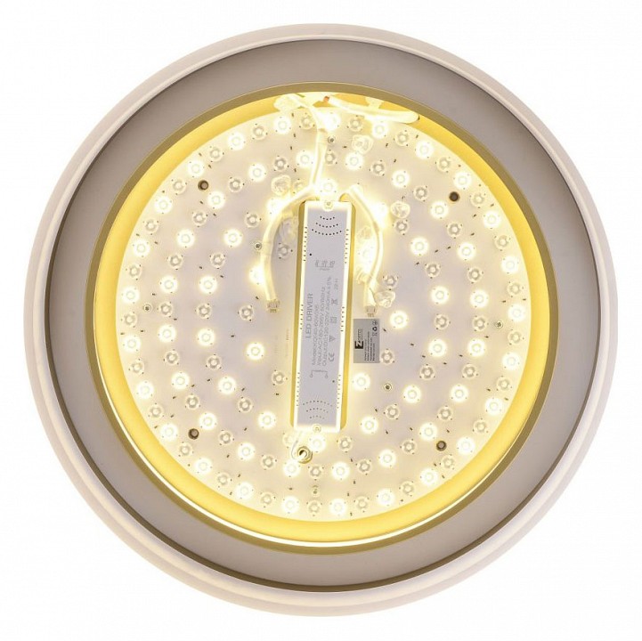 Накладной светильник Zortes Adel ZRS.1200.01 - 4