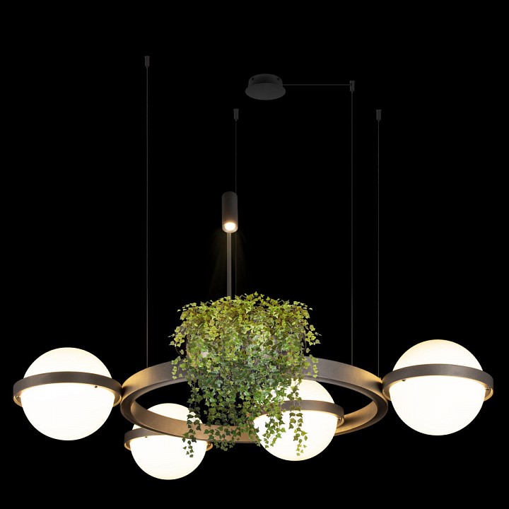 Подвесная люстра Loft it Jardin 10121/4 Dark grey - 3