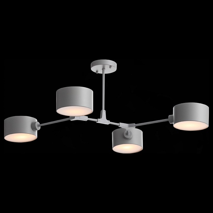 Люстра на штанге EVOLUCE Gimento SLE183702-04 - 5