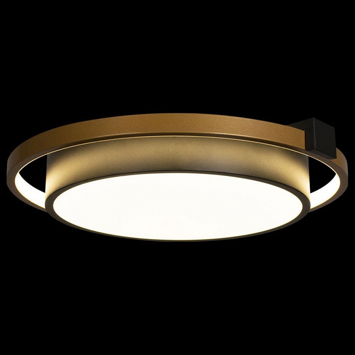 Потолочный светодиодный светильник Loft IT Mike 10169 - 3