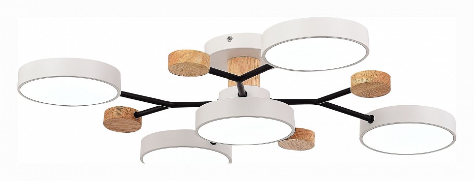 Потолочная люстра EVOLUCE Faema SLE6006-502-05 - 1