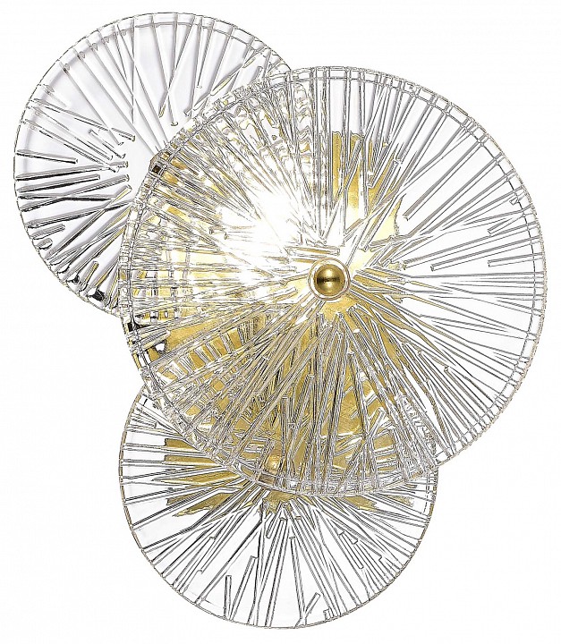 Накладной светильник ST-Luce Flero SL1657.201.01 - 2