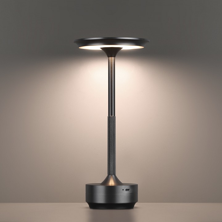 Настольная лампа декоративная Odeon Light Tet-A-Tet 5034/6TL - 4