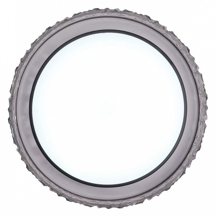 Накладной светильник Zortes Adel ZRS.1200.02 - 4