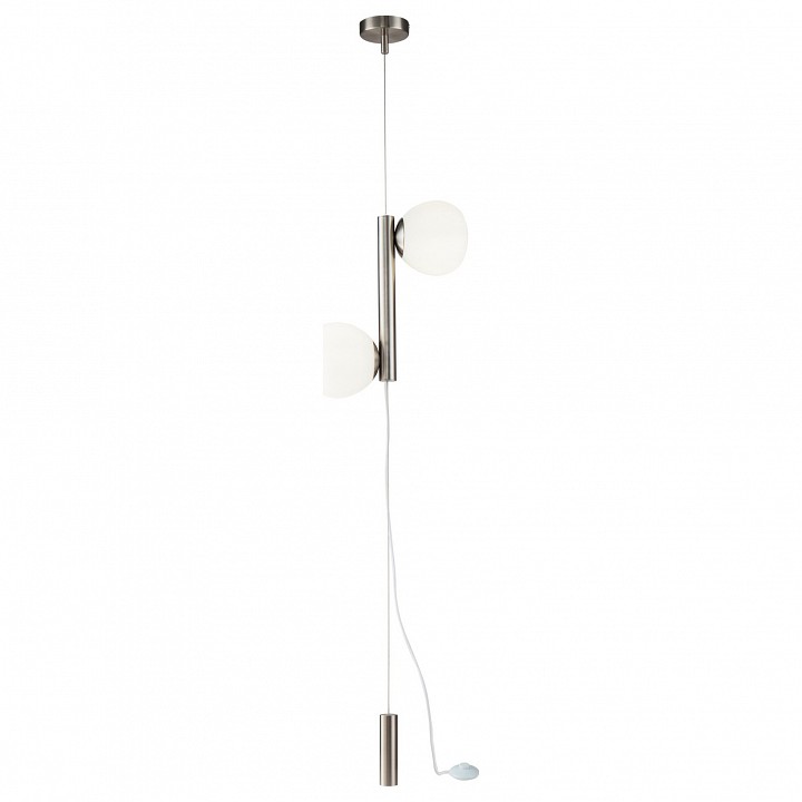 Светильник на растяжке Maytoni Erich MOD221FL-01N - 0