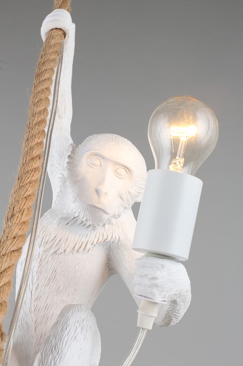 Подвесной светильник Aployt Magali APL.309.06.01 - 8