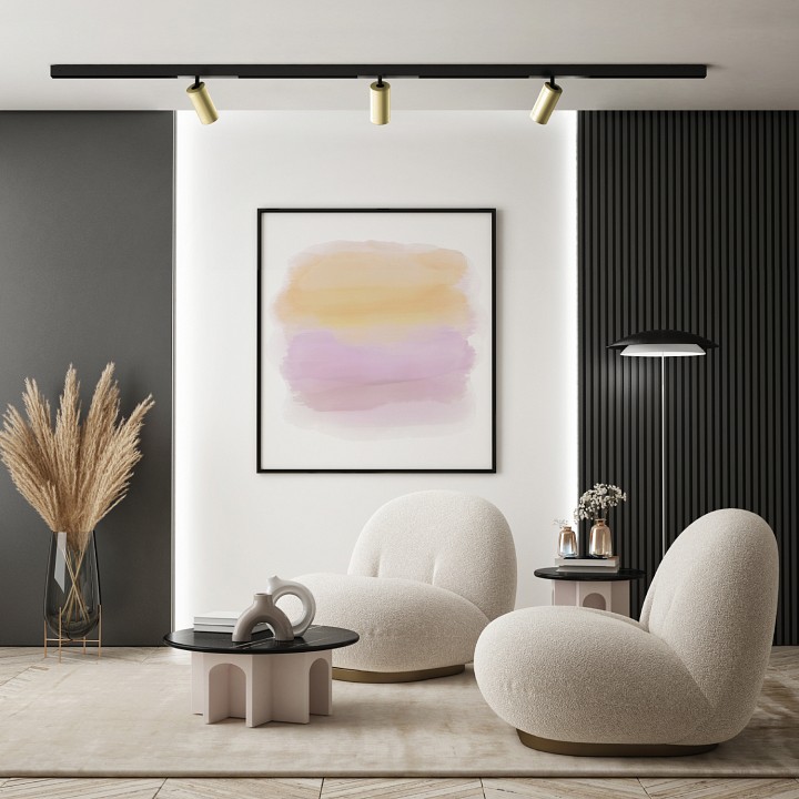 Трековый светодиодный светильник Denkirs Smart Spot DK8020-BG - 3