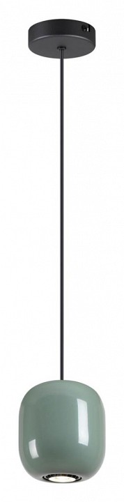 Подвесной светильник Odeon Light Ovali 5053/1C - 1