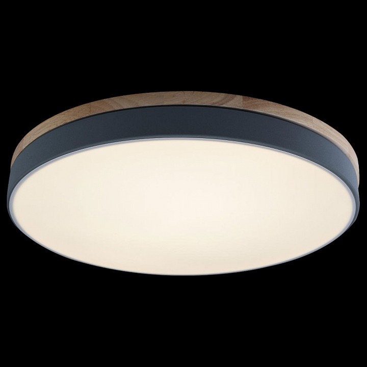 Накладной светильник Loft it Axel 10001/36 Grey - 1