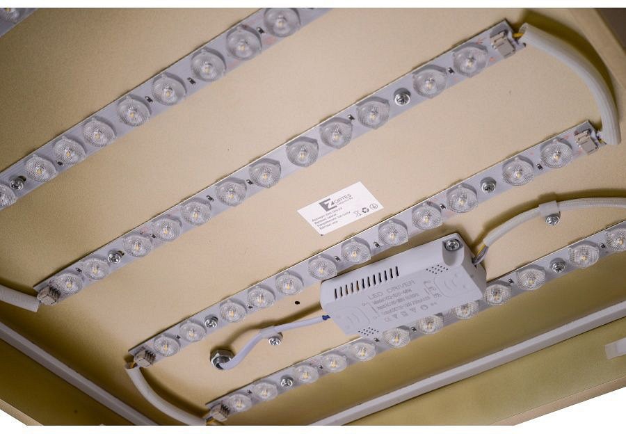 Накладной светильник Zortes Gabby ZRS.1215.03 - 3