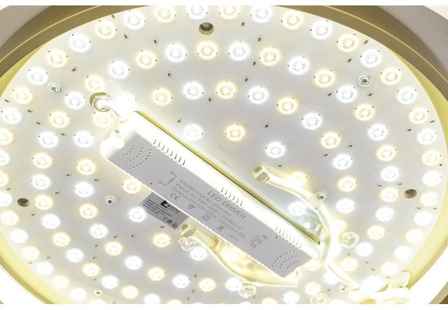 Накладной светильник Zortes Adel ZRS.1200.01 - 5