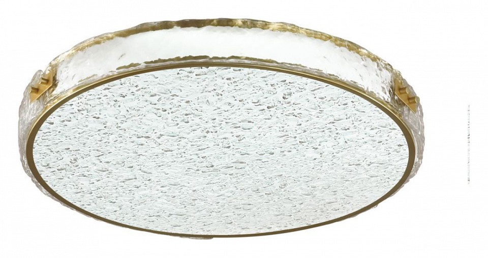 Накладной светильник Sonex Felice 7722/120L - 3