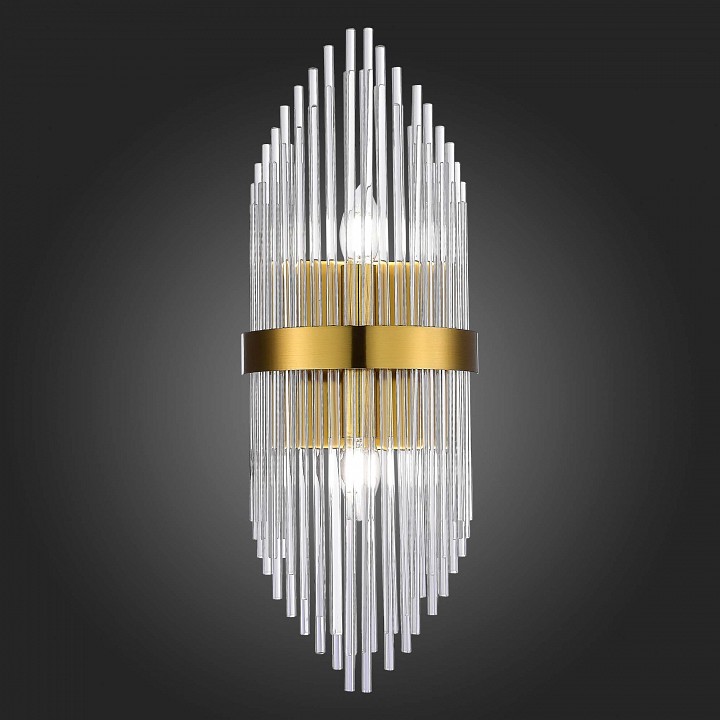 Накладной светильник ST-Luce Arezzo SL1178.201.02 - 2