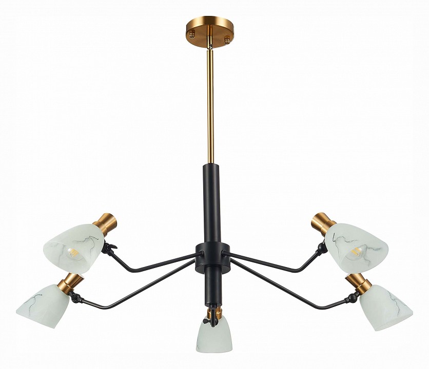 Люстра на штанге EVOLUCE Lita SLE205403-05 - 0