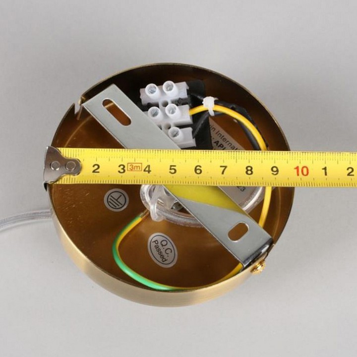 Подвесной светильник Aployt Rosabella APL.320.16.01 - 7
