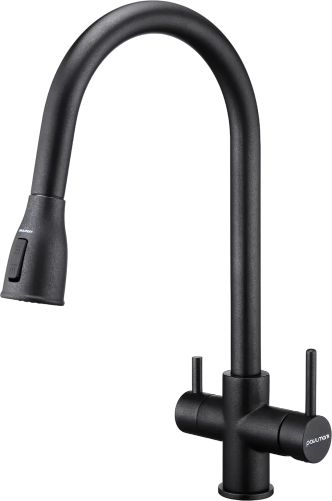 Смеситель для кухни Paulmark Lange черный матовый La214212-418 - 0