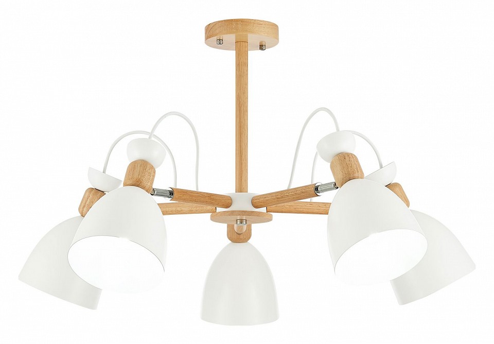 Люстра на штанге EVOLUCE Balcamo SLE103802-05 - 0