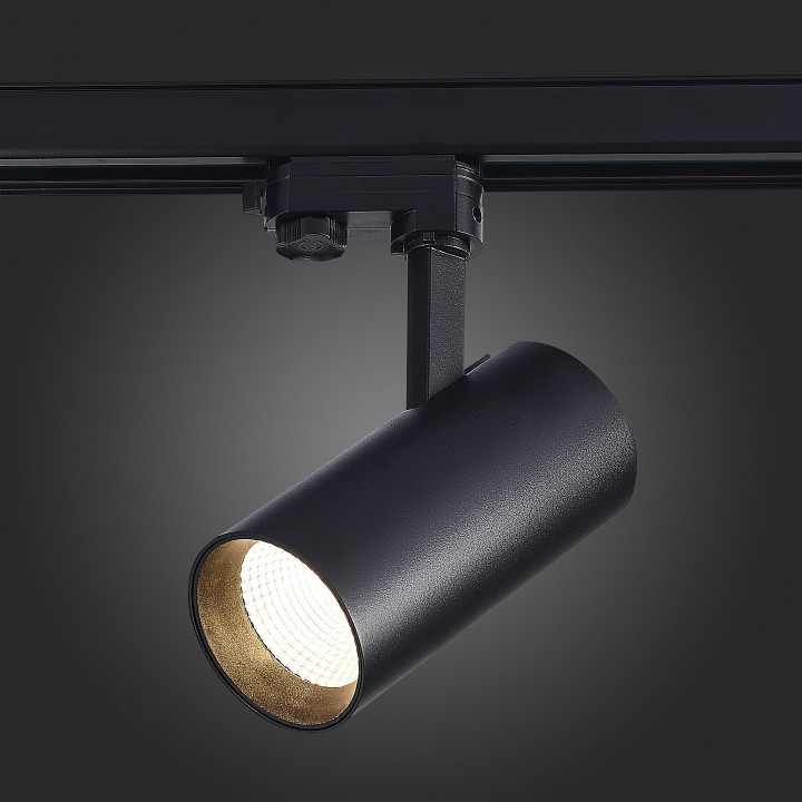 Светильник на штанге ST-Luce Трехфазная трековая система ST661.446.30 - 2