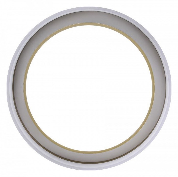 Накладной светильник Zortes Adel ZRS.1200.01 - 6