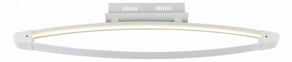 Накладной светильник ST-Luce SL920 SL920.102.01 - 0