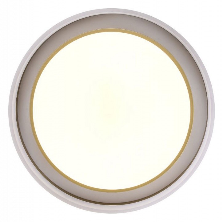 Накладной светильник Zortes Adel ZRS.1200.01 - 7