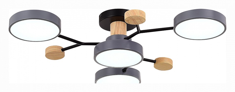 Потолочная люстра EVOLUCE Faema SLE6006-702-04 - 2