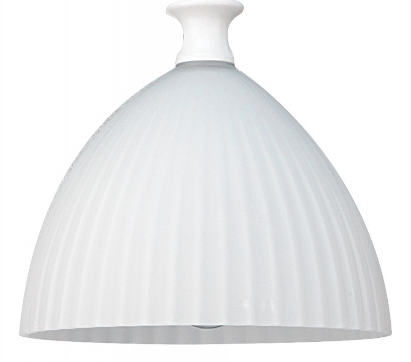 Трековый светильник Lightstar Agola (810020+595007) PRO810020 - 2