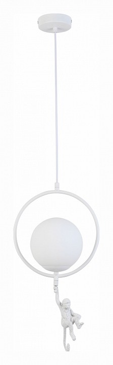 Подвесной светильник EVOLUCE Tenato SLE115113-01 - 1