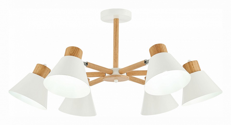 Люстра на штанге EVOLUCE Buve SLE103702-06 - 0