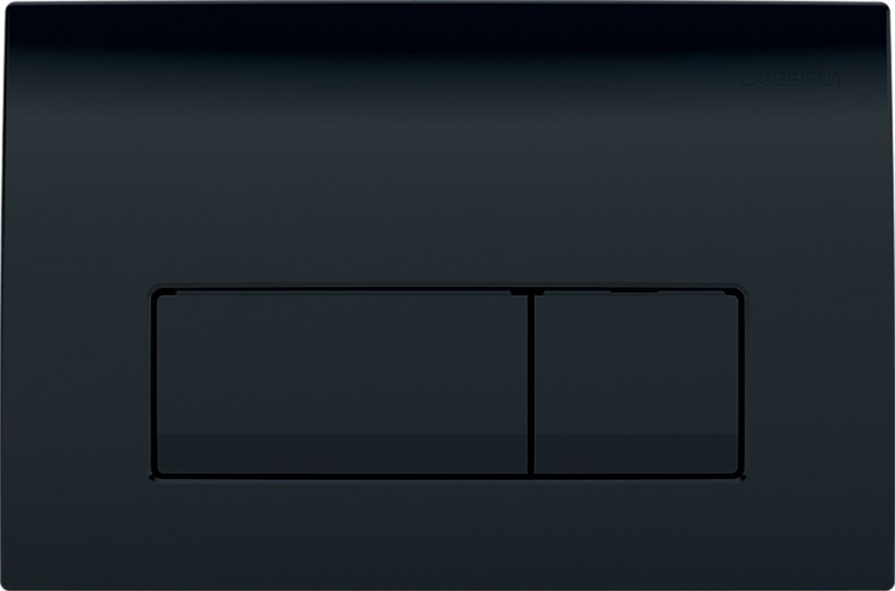 Кнопка смыва Geberit Delta 51 115.105.DW.1, черная - 0