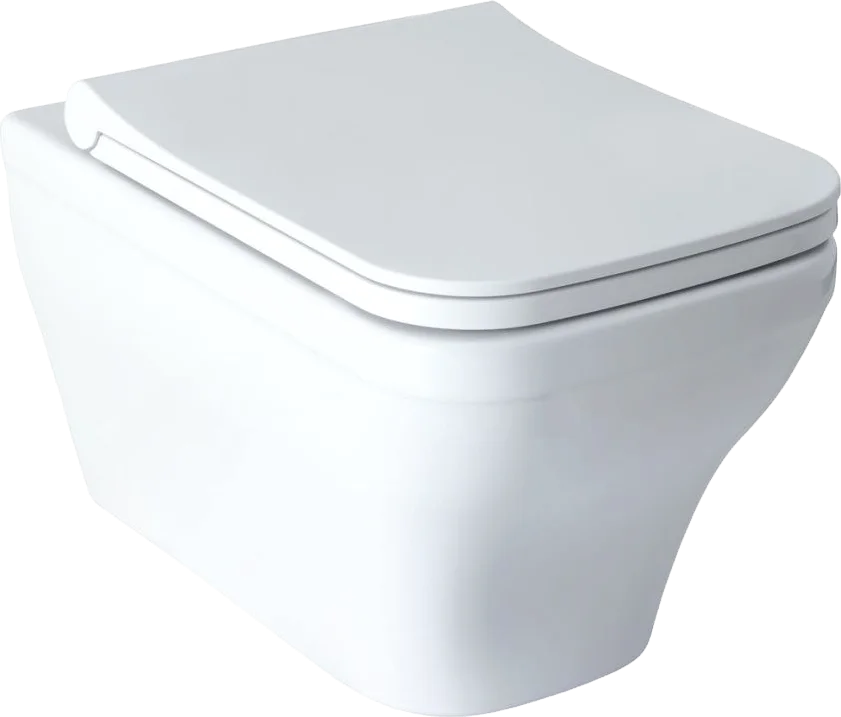 Чаша для подвесного унитаза Allen Brau Infinity без сиденья белый  4.21011.20 - 3