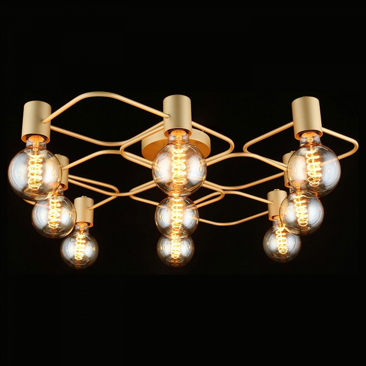 Потолочная люстра Aployt Elison APL.911.07.09 - 3