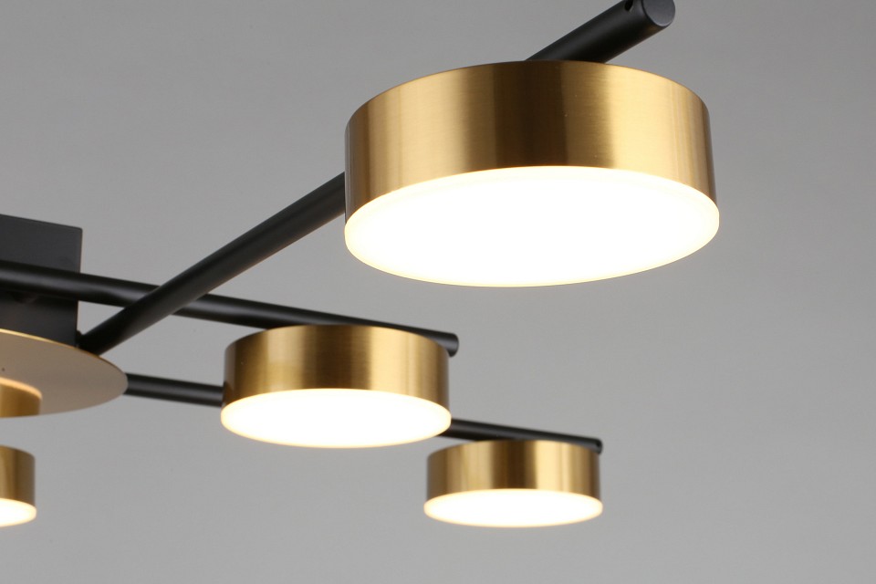 Потолочная люстра Aployt Delayn APL.042.07.56 - 6