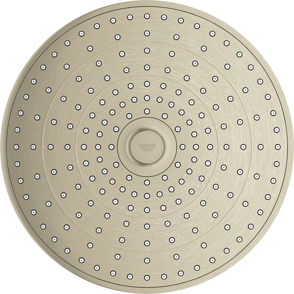 Верхний душ Grohe Euphoria SmartControl 26456EN0 - 1