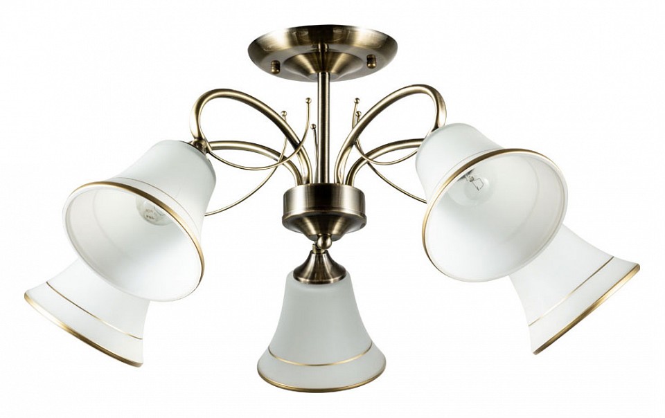 Потолочная люстра Arte Lamp Blossom A2709PL-5AB - 0