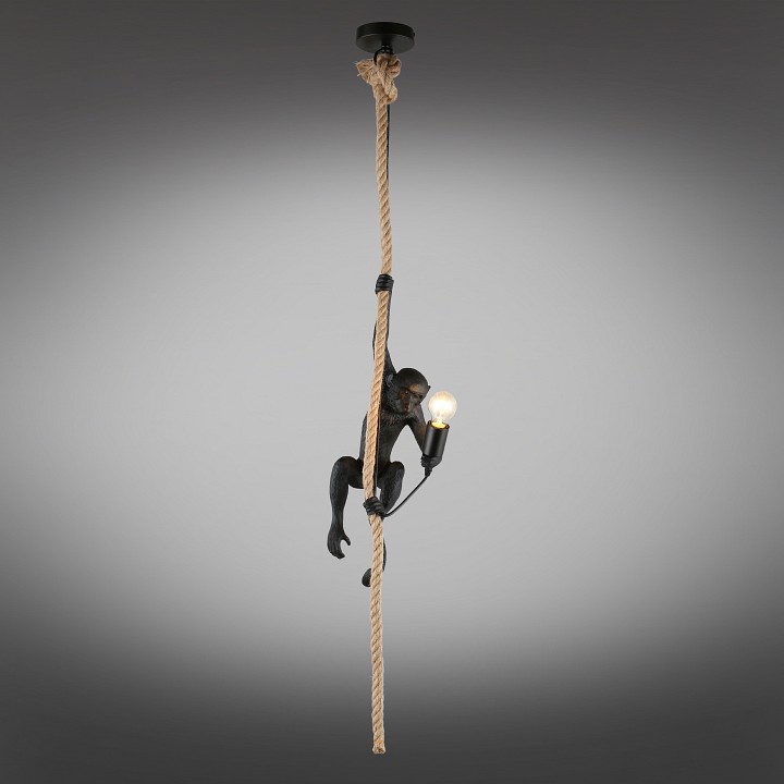 Подвесной светильник Aployt Magali APL.309.16.01 - 10