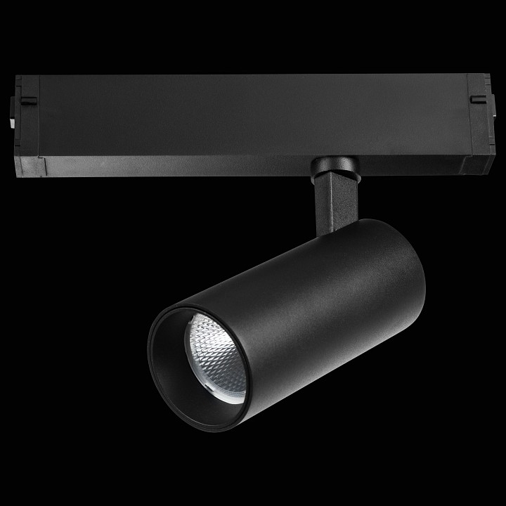 Светильник на штанге Lightstar Teta 205037R - 2